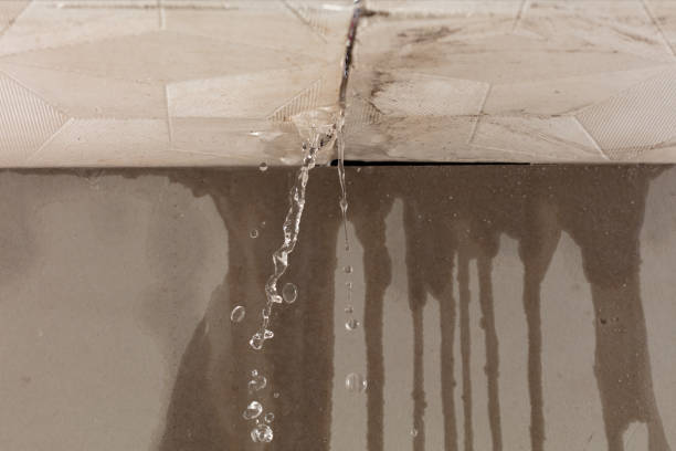 Professional Sewage Cleanup technician working in Washington, MI